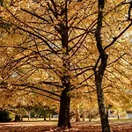 Parc De L'aiguade 3*