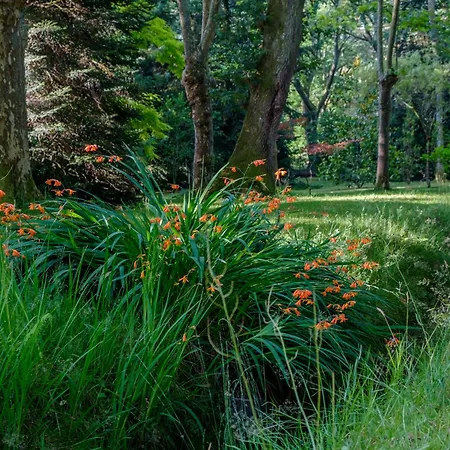 Parc De L'aiguade Saint-Paul-lès-Dax