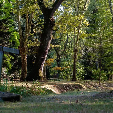 לינה וארוחת בוקר Parc De L'aiguade 3*