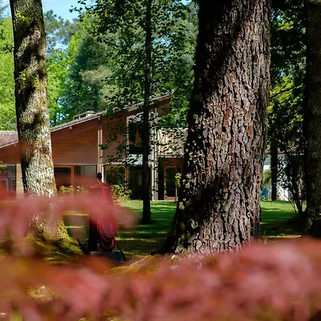 Parc De L'aiguade Bed & Breakfast Saint-Paul-les-Dax