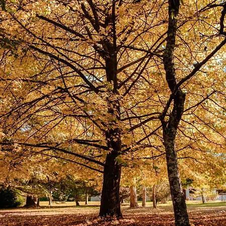 Parc De L'aiguade 3*
