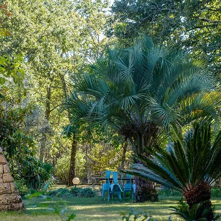 לינה וארוחת בוקר Parc De L'aiguade