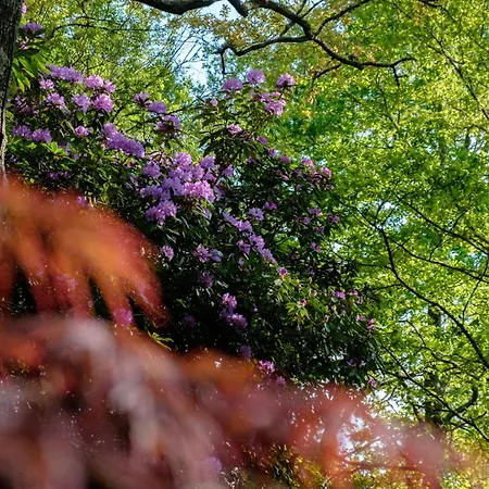 Parc De L'aiguade לינה וארוחת בוקר 3*
