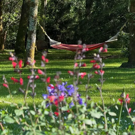 Parc De L'aiguade Saint-Paul-les-Dax
