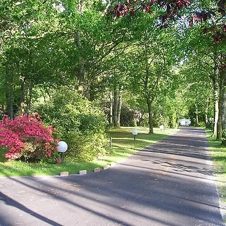 Parc De L'aiguade לינה וארוחת בוקר Saint-Paul-lès-Dax