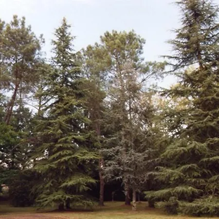 Parc De L'aiguade Saint-Paul-lès-Dax