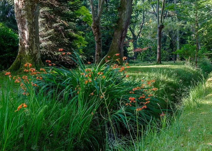 Parc De L'aiguade Saint-Paul-lès-Dax