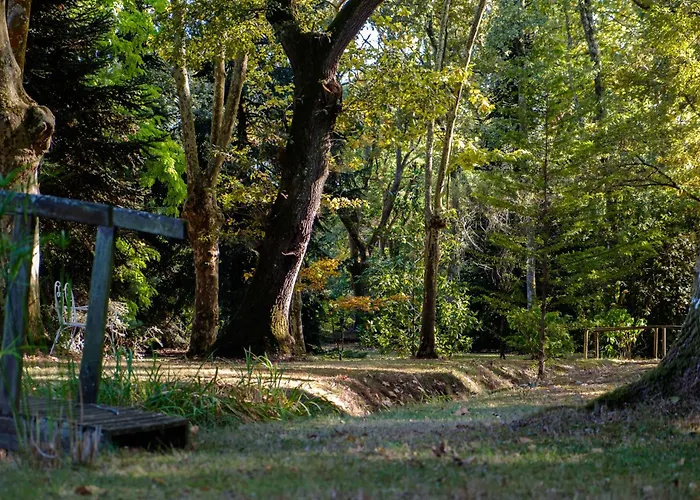 فندق مبيت وإفطار Parc De L'aiguade 3*