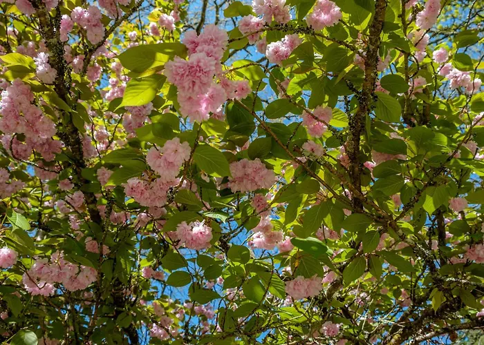فندق مبيت وإفطار Parc De L'aiguade Saint-Paul-lès-Dax