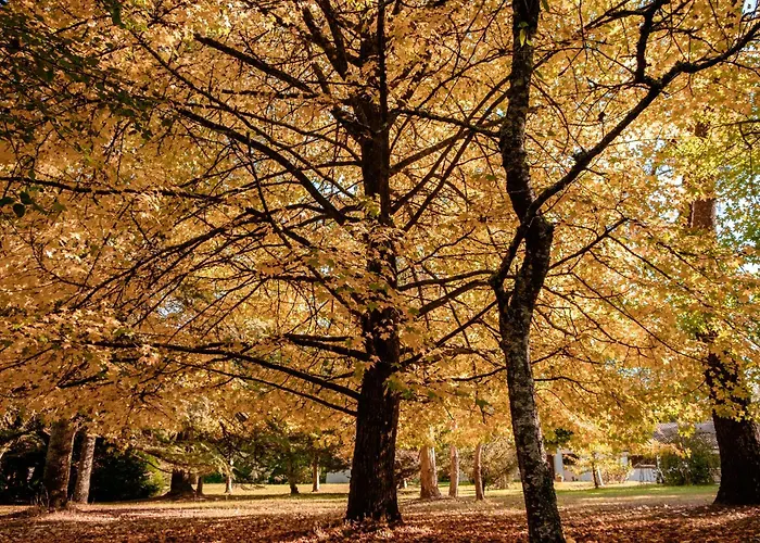 Parc De L'aiguade 3*