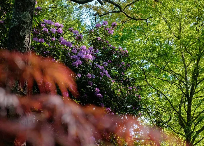 Parc De L'aiguade فندق مبيت وإفطار 3*