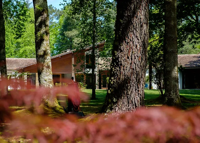 Parc De L'aiguade Saint-Paul-lès-Dax