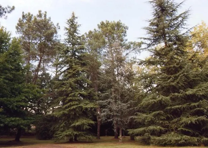 Parc De L'aiguade Saint-Paul-lès-Dax